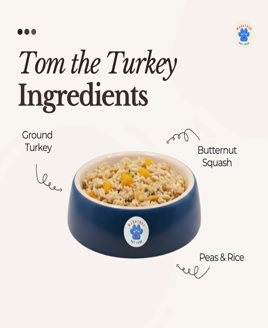 Tom the Turkey