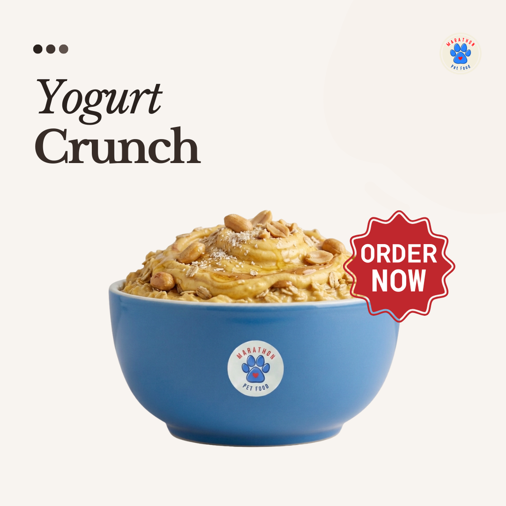 Yogurt Crunch