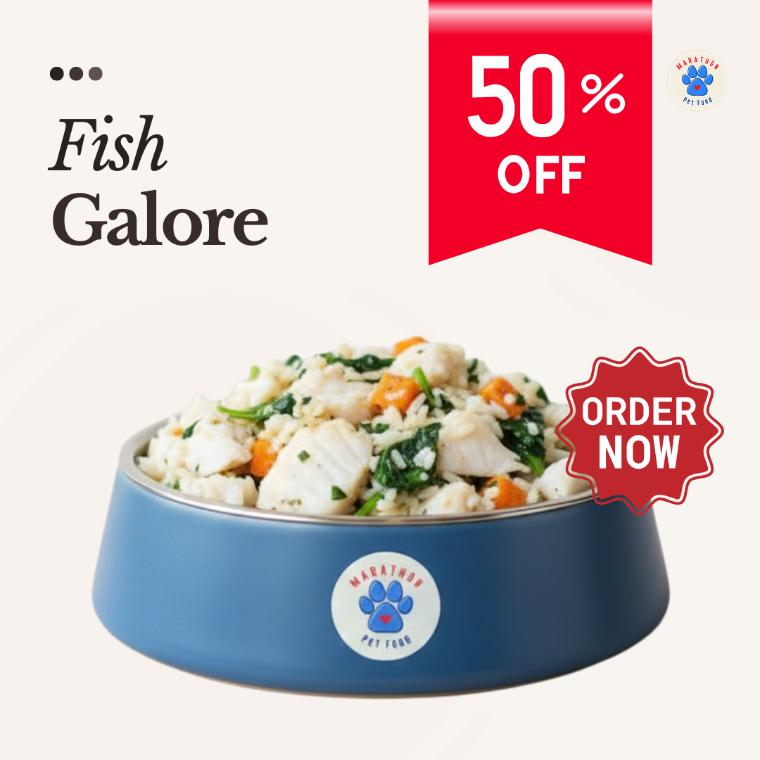 Fish Galore – Wet Food for Dogs & Cats