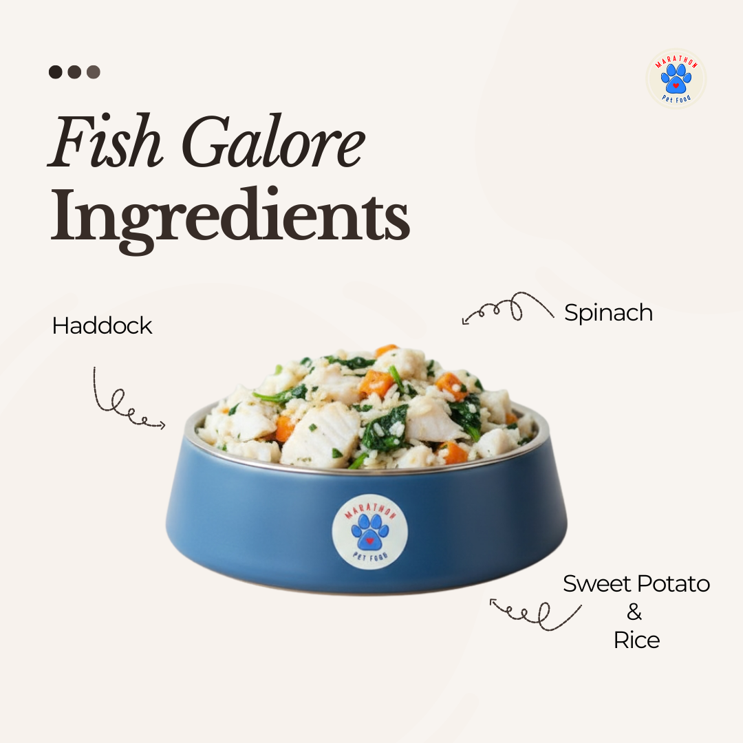 Fish Galore – Wet Food for Dogs & Cats