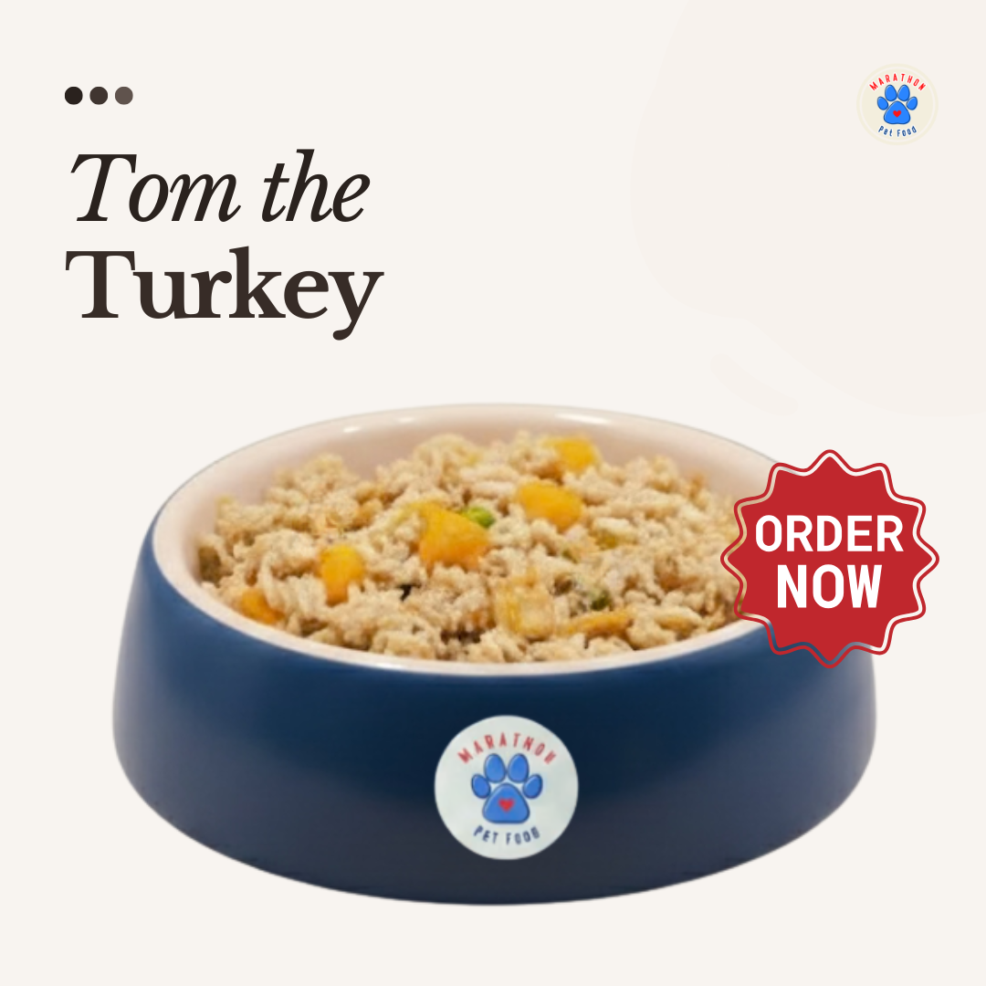 Tom the Turkey
