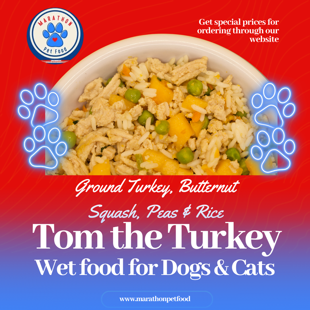 Tom the Turkey