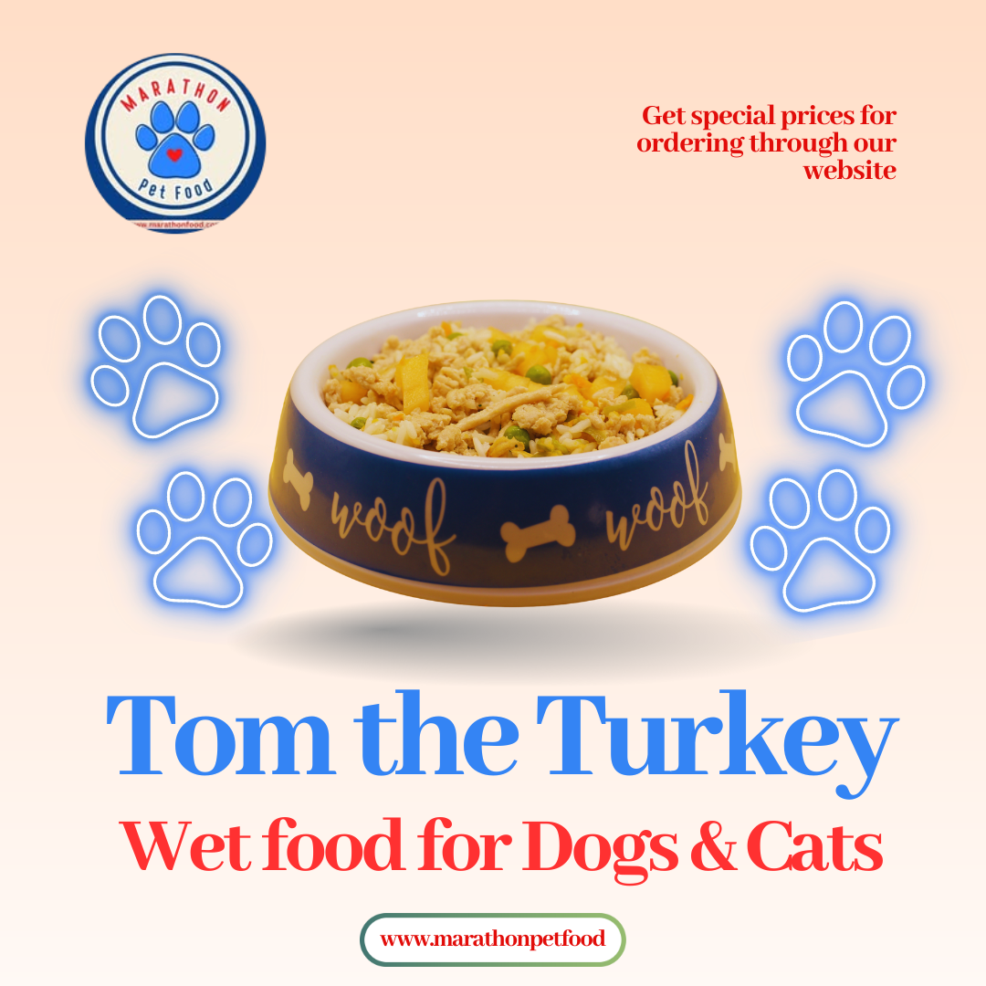 Tom the Turkey