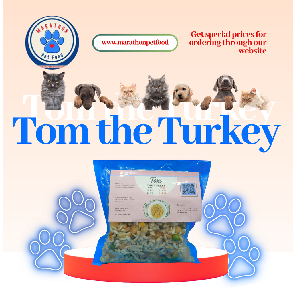 Tom the Turkey