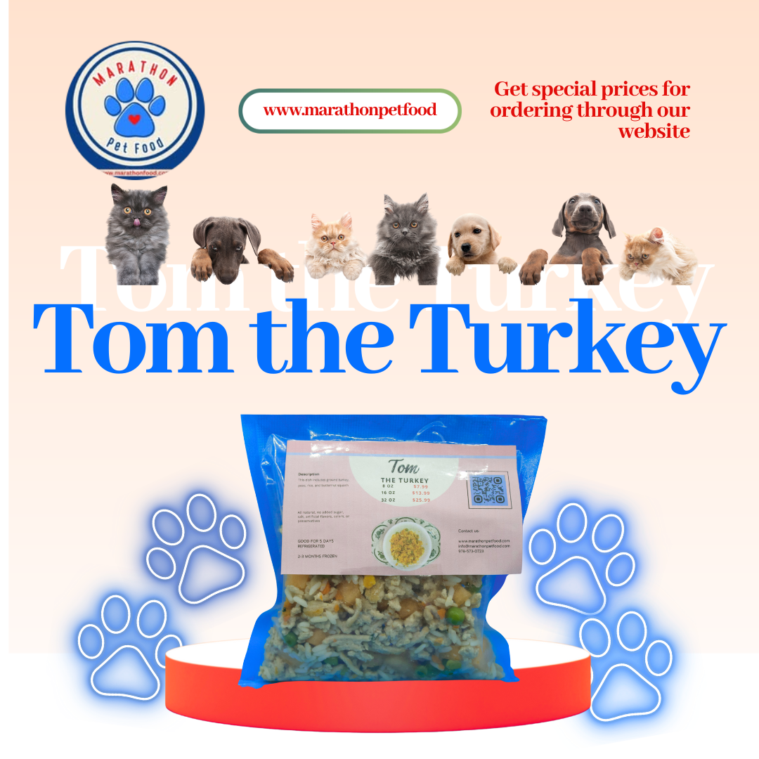 Tom the Turkey